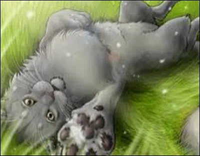 Finalement, vous allez chasser et tu devras prendre de la mousse pour les anciens.