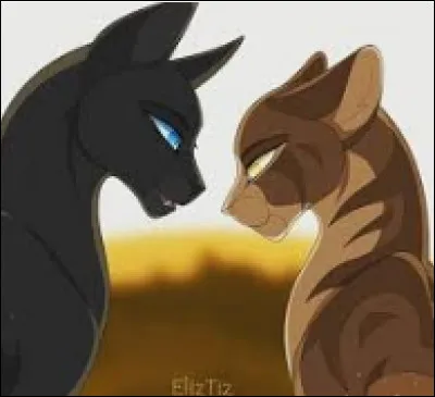 Le clan se rend compte que c'est un guerrier du clan qui l'a tué et on t'accuse.