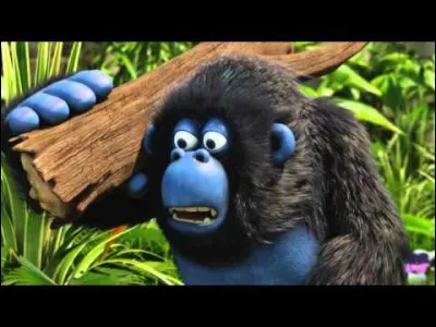 Quelle est la passion de Miguel ? (plusieurs réponses)