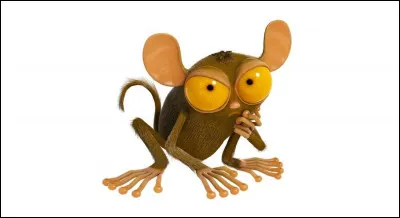 Dans quel domaine Gilbert excelle-t-il ? (une seule réponse)