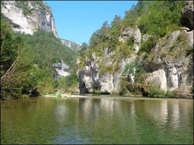 Complétez ce célèbre refrain de Michel Sardou : "Elle court, elle court, la maladie d'amour, dans le cur des enfants..." .