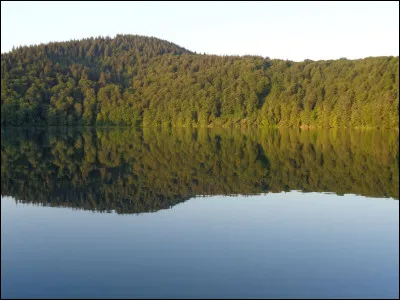 Maladie génétique très rare qui se déclare dès le plus jeune âge, le xeroderma pigmentosum est une hypersensibilité de la peau aux rayons ultraviolets. En raison de l'interdiction qu'ils ont de s'exposer à la lumière solaire, comment désigne-t-on traditionnellement les enfants atteints de cette maladie ?