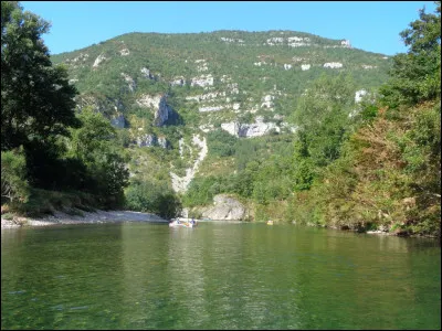 Selon le titre d'un film sorti en 1968 et réalisé par Michel Audiard, pour quoi ne faut-il pas prendre les enfants du bon Dieu ?