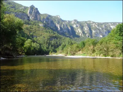Quelle est la date d'adoption de la Convention internationale des droits de l'enfant ?