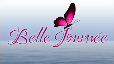 L'aube, le matin, le soir ou la nuit ? Tu préfères :