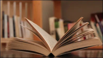 Quel style de livres préfères-tu ?