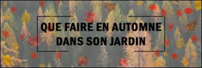 Qui se maintient au potager tout l'hiver ?