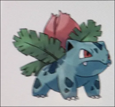 Comment s'appelle ce Pokémon ?