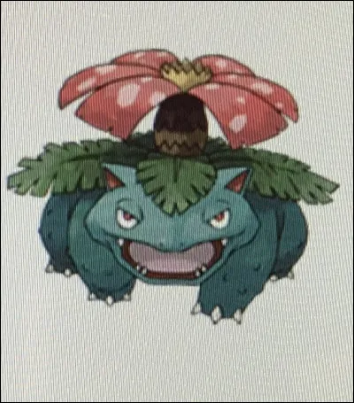 Comment s'appelle ce Pokémon ?