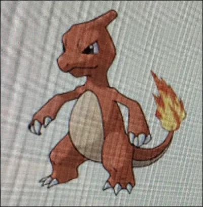 Comment s'appelle ce Pokémon ?