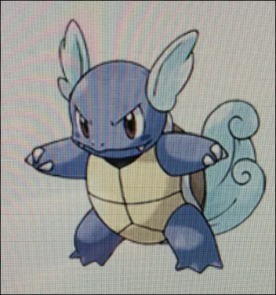 Comment s'appelle ce Pokémon ?