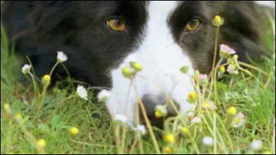 La physiothérapie est-elle un traitement naturel ?