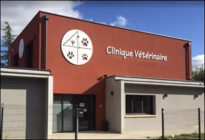 Où peut-on pratiquer la physiothérapie ?