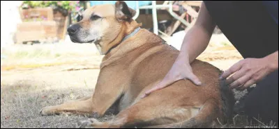 A-t-on besoin de beaucoup de matériel pour pratiquer la physiothérapie chez soi ?