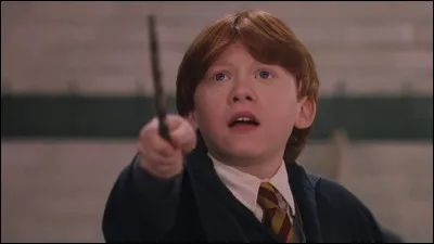 Lors du premier volet d'"Harry Potter", Ron assomme un troll des montagnes, quel sort utilise-t-il ?