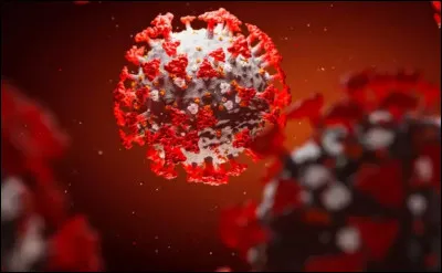 Tu as le coronavirus, tu ne peux plus aller en cours.