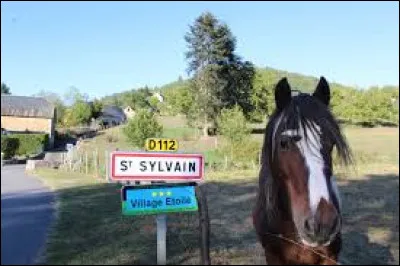 Et nous terminons notre balade en compagnie de ce cheval, à l'entrée de Saint-Sylvain. Village de l'ex région Limousin, il se situe dans le département numéro ...