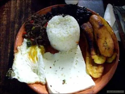 Le Pabellon criollo est un plat typique du Venezuela