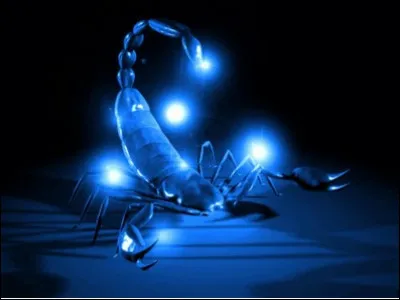 Le signe Scorpion a pour symbole :