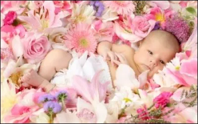 Pourriez-vous me donner la durée de gestation de la marmotte ?