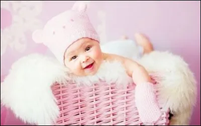 Lequel de ces animaux a la durée de gestation la plus courte ?