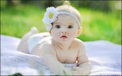 Combien de semaines la gestation d'une chatte dure-t-elle ?