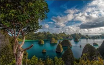 Quels sont les deux sports les plus populaires en Indonésie ?