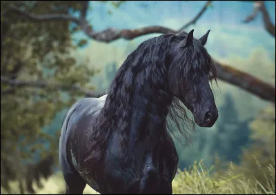 Le noir est une robe...