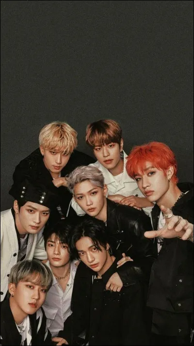 Avec quel titre le groupe Stray Kids a-t-il fait ses d&eacute;buts ?