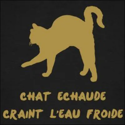 Et on finit sur une expression : "Chat échaudé craint l'eau froide" qui veut dire...