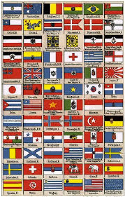 Quel pays a une carte sur son drapeau ?