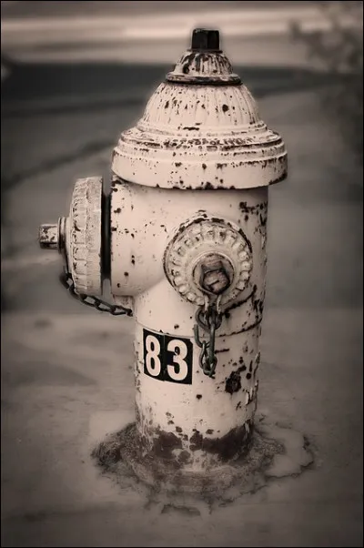 En revenant &agrave; une r&eacute;gie publique, la ville de Grenoble a pu, sans changer le montant de la facture, multiplier ses investissements par :