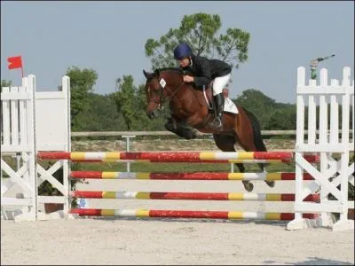 Comment se nomme cette discipline ?