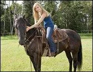 Quel est le nom du cheval d'Amy ?