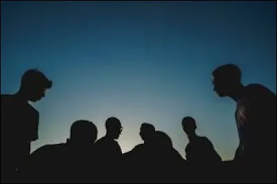 Dans le groupe, tu es :