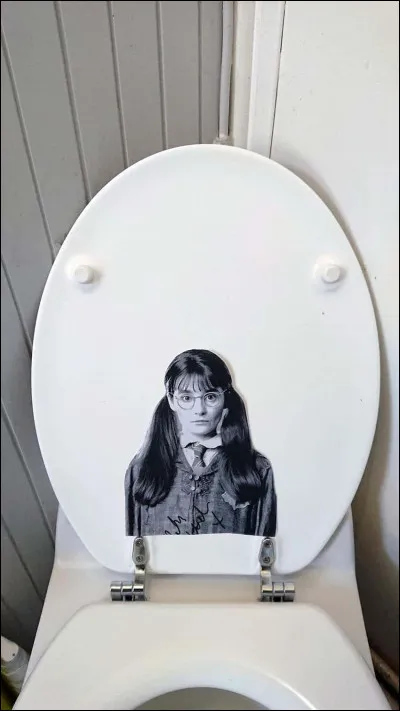 Combien de points gagne au total Gryffondor lorsque Ron et Harry sauvent Hermione dans les toilettes des filles ?