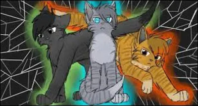 Quel pelage préfères-tu ?