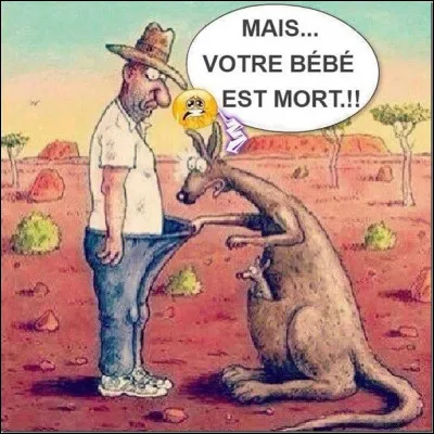 En Australie, une loi autorise une personne à avoir une relation sexuelle avec un kangourou, à condition ...