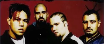 Si t'étais dans un groupe, que ferais-tu ?