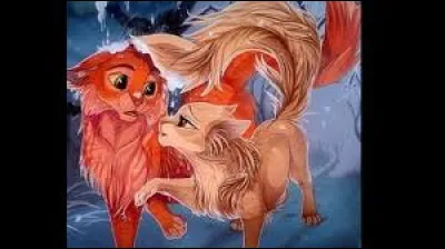 Qui est le père des chatons ?