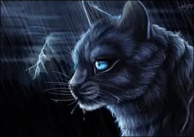 Et enfin : comment se nomment les apprentis ?