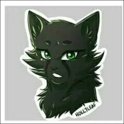 Quelle est la règle n°1 du code du guerrier ?