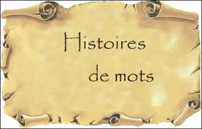 Quest-ce que signifie « phlyctène » en mot scientifique ?