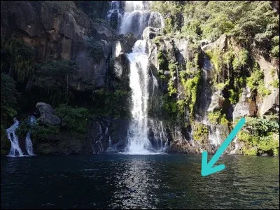 Question très facile : la flèche indique...