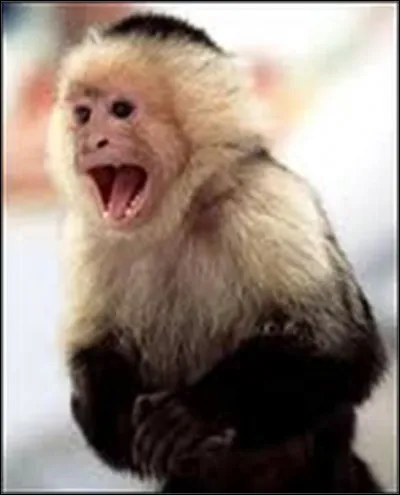 Qui intercepte une flèche tranquilisante pour sauver Marcel du contrôle vétérinaire ?