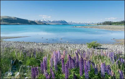 Quel pays le lac Tekapo borde-t-il ?