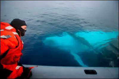 Quel continent la mer de Weddell borde-t-elle ?