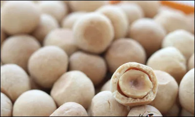 Quel est ce biscuit sablé qui existe depuis 1740 en forme de sphère et parfumé à la fleur d'oranger, une spécialité d'Aix-en Provence ?