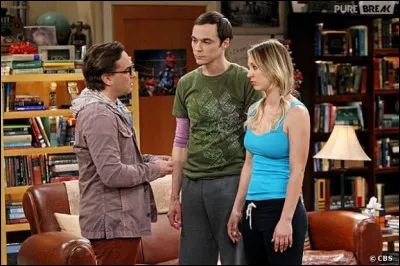 Dans l'immeuble où habite Léonard, Sheldon et Penny, qu'est-ce qui est en panne ?