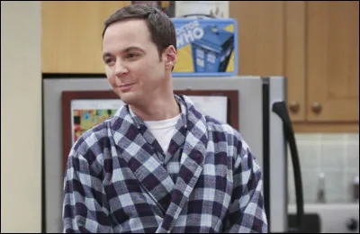 Parmi ces propositions, quelle est une des grandes passions de Sheldon Cooper ?